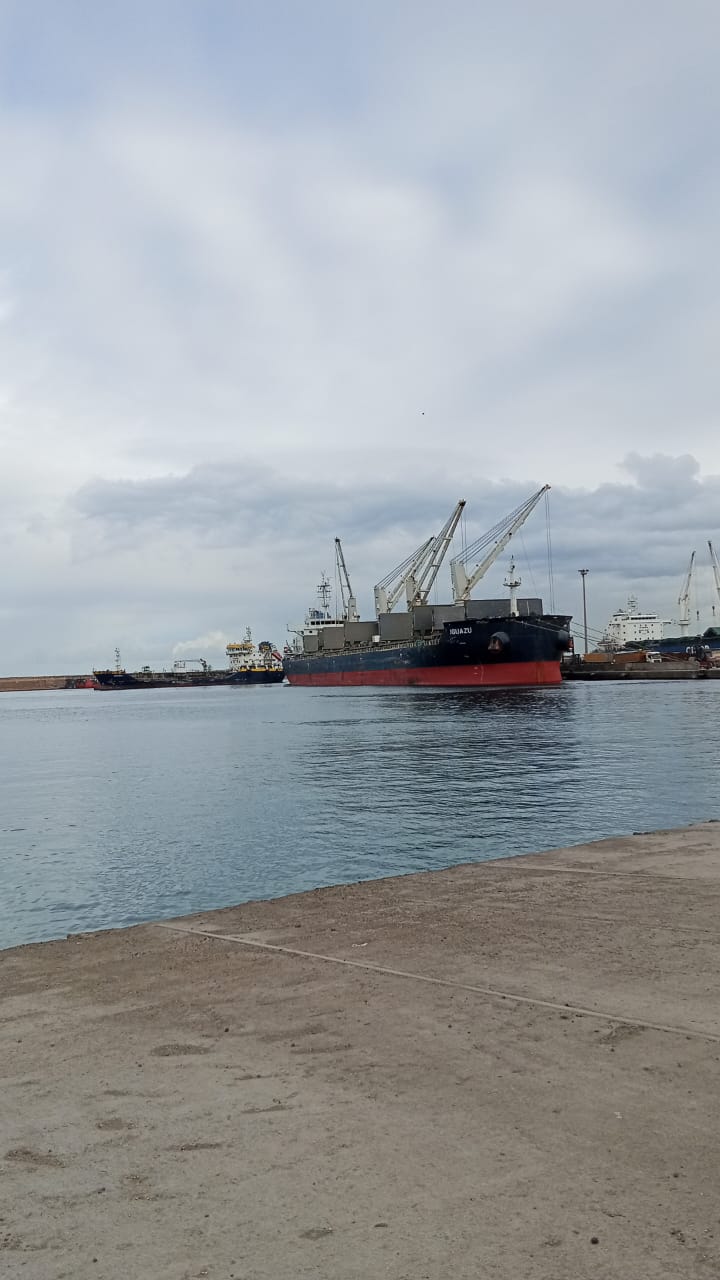 Cargo vessels at Algerian port – Universal Survey operations